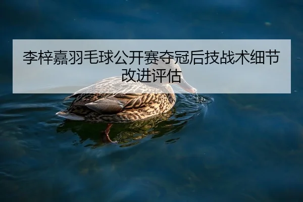 李梓嘉羽毛球公开赛夺冠后技战术细节改进评估